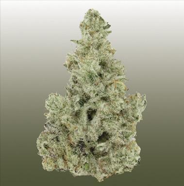Cap Junkie flower